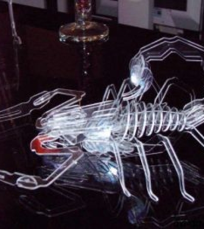 Enigma 3D do escorpião
